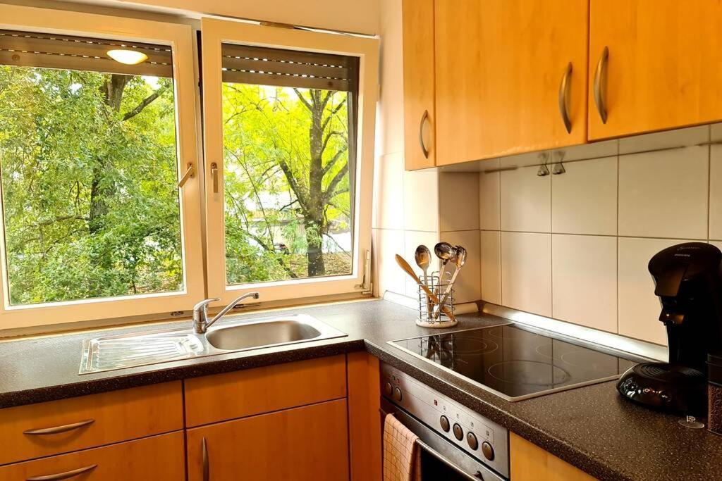 Rivulet 2 Bedroom Apartment بادن بادن المظهر الخارجي الصورة